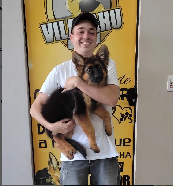 Vinícius
